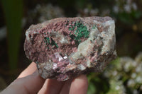 Natural Pink Salrose Cobaltion Dolomite Specimens x 6 From Kakanda, Congo - Toprock Gemstones and Minerals 