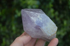 Natural Single Jacaranda Amethyst Crystals  x 12 From Mumbwe, Zambia - Toprock Gemstones and Minerals 