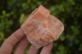 Natural New Sunset Orange Calcite Specimens  x 12 From Spitzkop, Namibia - Toprock Gemstones and Minerals 