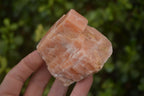 Natural New Sunset Orange Calcite Specimens  x 12 From Spitzkop, Namibia - Toprock Gemstones and Minerals 
