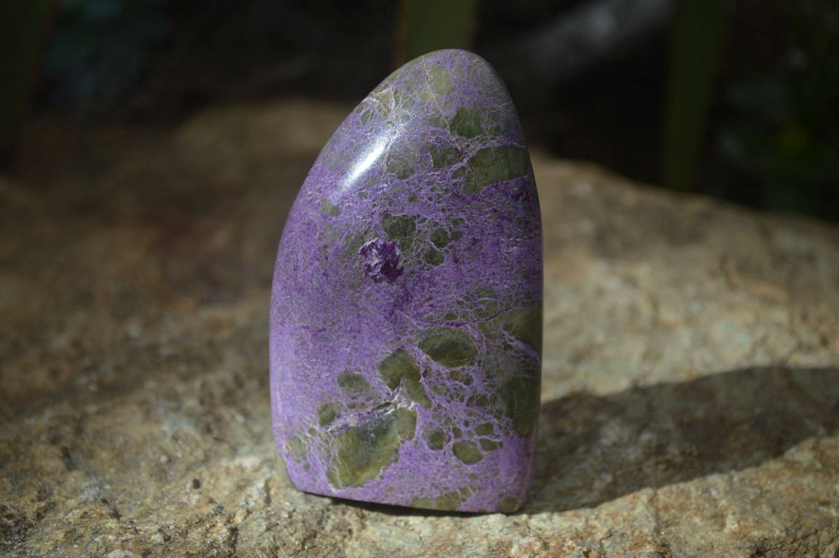 Polished Mixed Selection Of Free Forms  x 3 From Southern Africa - Toprock Gemstones and Minerals 