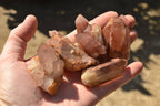 Natural Single Red Hematoid Phantom Quartz Crystals  x 35 From Karoi, Zimbabwe - TopRock