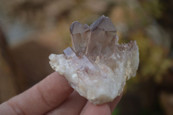 Natural Red Hematoid Quartz Specimens x 24 From Karoi, Zimbabwe - Toprock Gemstones and Minerals 