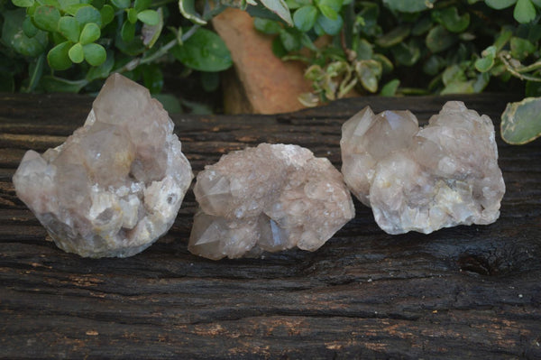 Natural White Phantom Smokey Quartz Clusters  x 3 From Luena, Congo - Toprock Gemstones and Minerals 