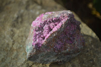 Natural Pink Salrose Cobaltion Dolomite Specimens x 6 From Kakanda, Congo - Toprock Gemstones and Minerals 