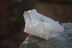 Natural Small Clear Quartz Crystal Specimens  x 35 From Madagascar - Toprock Gemstones and Minerals 