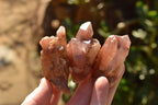 Natural Single Red Hematoid Phantom Quartz Crystals  x 35 From Karoi, Zimbabwe - TopRock