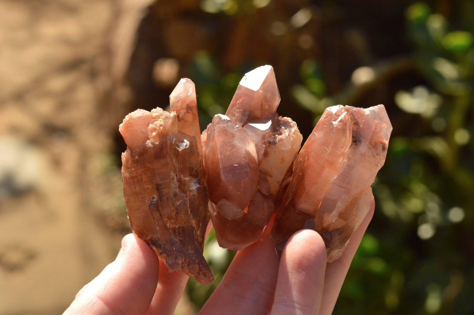 Natural Single Red Hematoid Phantom Quartz Crystals  x 35 From Karoi, Zimbabwe - TopRock