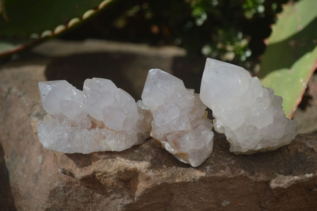 Natural White Spirit Quartz Crystals x 24 From Boekenhouthoek, South Africa - Toprock Gemstones and Minerals 