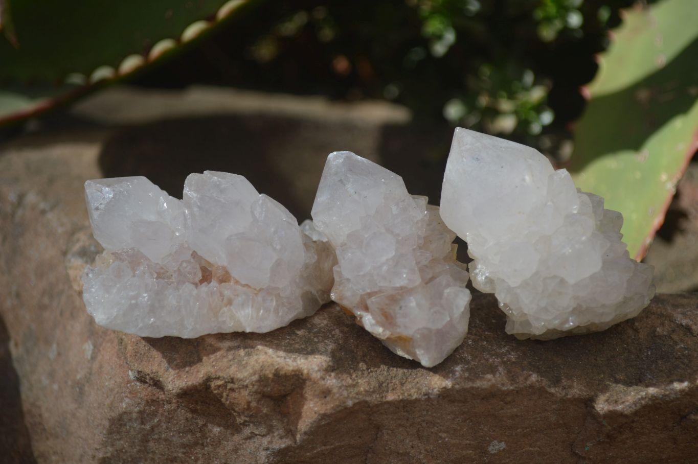Natural White Spirit Quartz Crystals x 24 From Boekenhouthoek, South Africa - Toprock Gemstones and Minerals 