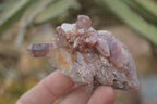 Natural Red Hematoid Quartz Specimens x 24 From Karoi, Zimbabwe - Toprock Gemstones and Minerals 