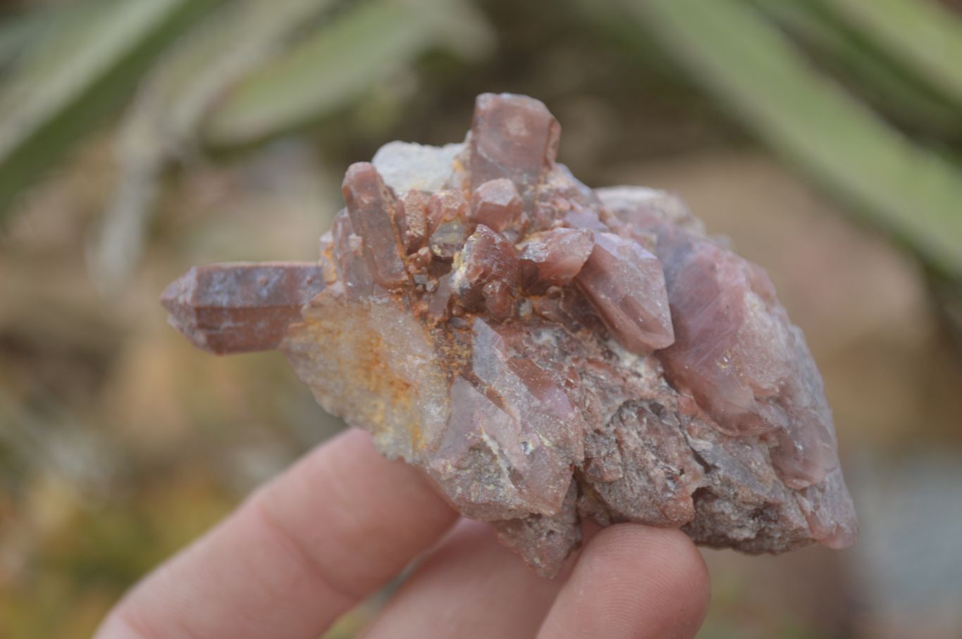 Natural Red Hematoid Quartz Specimens x 24 From Karoi, Zimbabwe - Toprock Gemstones and Minerals 