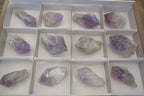 Natural Single Jacaranda Amethyst Crystals x 12 From Mumbwe, Zambia - Toprock Gemstones and Minerals 
