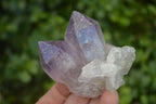 Natural Single Jacaranda Amethyst Crystals  x 12 From Zambia - Toprock Gemstones and Minerals 