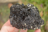 Natural Schorl Black Tourmaline Specimens x 2 From Erongo, Namibia