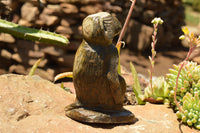 Polished Soapstone Baboon Carving x 1 From Zimbabwe - TopRock