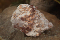 Natural Red Hematoid Phantom Quartz Clusters x 6 From Zambia - Toprock Gemstones and Minerals 