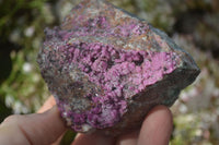 Natural Pink Salrose Cobaltion Dolomite Specimens x 6 From Kakanda, Congo - Toprock Gemstones and Minerals 