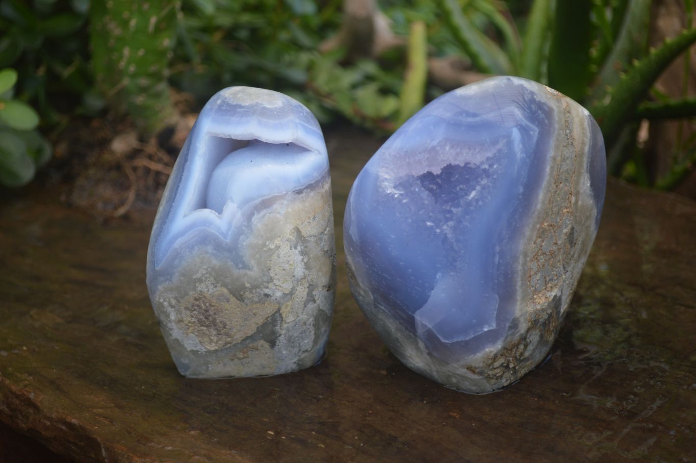 Polished Blue Lace Agate Standing Free Forms  x 2 From Nsanje, Malawi - Toprock Gemstones and Minerals 