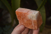 Natural New Sunset Orange Calcite Specimens  x 12 From Spitzkop, Namibia - Toprock Gemstones and Minerals 