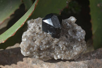 Natural Schorl Black Tourmaline Specimens x 6 From Erongo, Namibia - Toprock Gemstones and Minerals 