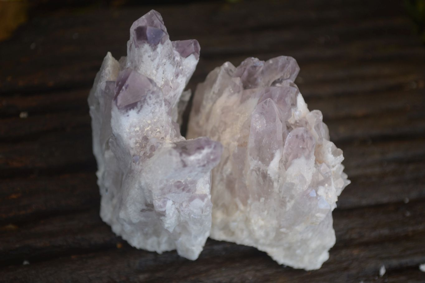 Natural Sugar Amethyst Clusters  x 12 From Solwezi, Zambia - Toprock Gemstones and Minerals 