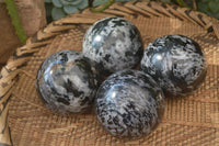 Polished Merlinite Gabbro Spheres  x 4 From Ambatondrazaka, Madagascar