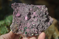 Natural Pink Salrose Cobaltion Dolomite Specimens x 6 From Kakanda, Congo - Toprock Gemstones and Minerals 