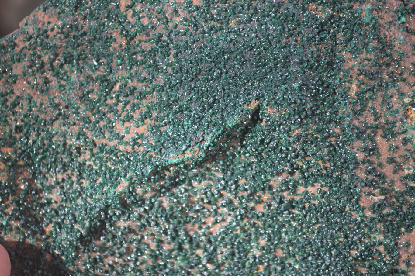 Natural Crystalline Micro Botryoidal Malachite Specimens  x 3 From Congo - Toprock Gemstones and Minerals 