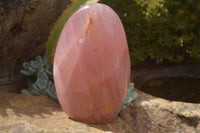 Polished Pink Rose Quartz Standing Free Forms x 2 From Ambatondrazaka, Madagascar - TopRock