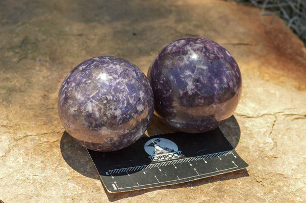Polished Purple Lepidolite Mica Spheres  x 6 From Madagascar - TopRock