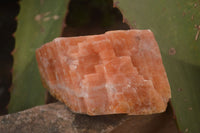 Natural New Sunset Orange Calcite Specimens  x 12 From Spitzkop, Namibia - Toprock Gemstones and Minerals 