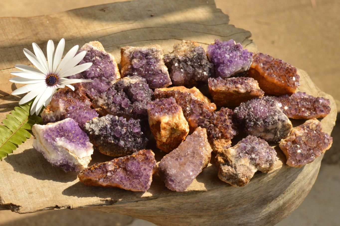 Natural Small Dark "Amethystos" Amethyst Clusters x 35 From Kwaggafontein, South Africa - TopRock