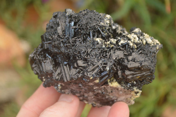Natural Schorl Black Tourmaline Specimens x 2 From Erongo, Namibia