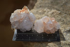 Natural White Spirit Quartz Crystals x 24 From Boekenhouthoek, South Africa - Toprock Gemstones and Minerals 
