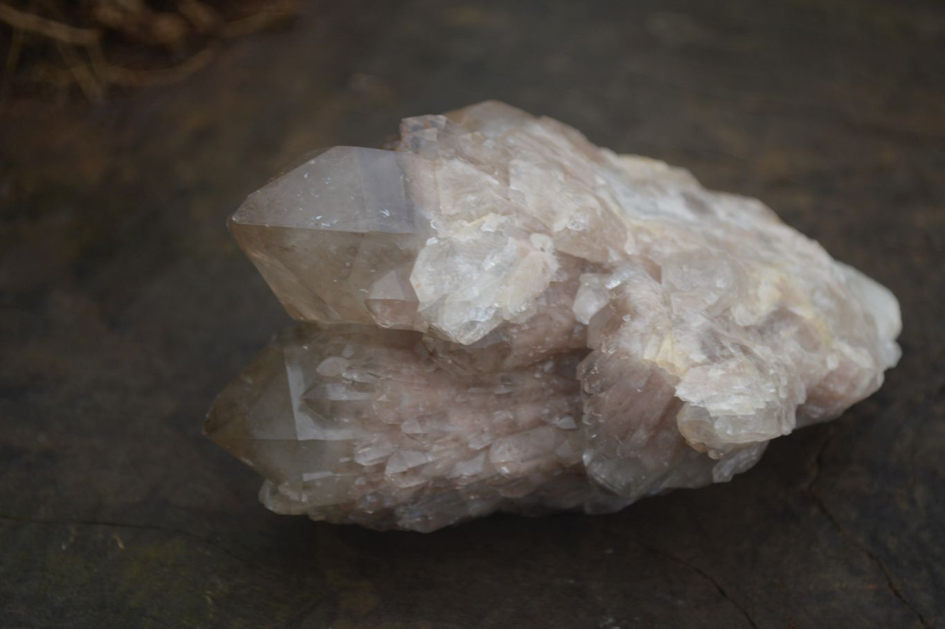 Natural White Phantom Smokey Quartz Clusters  x 3 From Luena, Congo - Toprock Gemstones and Minerals 