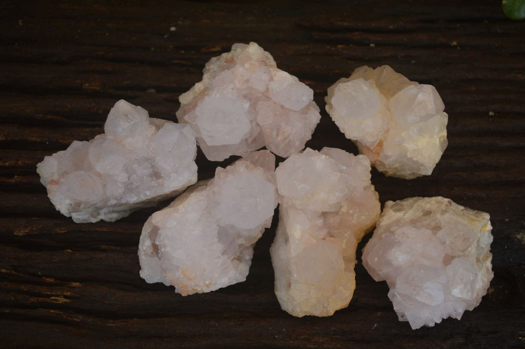 Natural Spirit Cactus Flower Quartz Clusters x 6 From Boekenhouthoek, South Africa - Toprock Gemstones and Minerals 