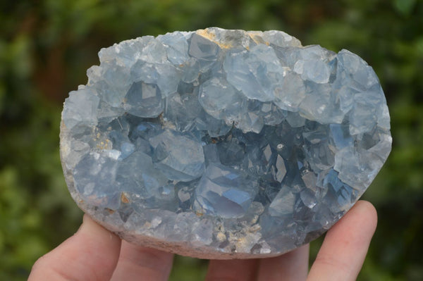 Natural Blue Celestite Crystal Specimens  x 2 From Sakoany, Madagascar - Toprock Gemstones and Minerals 