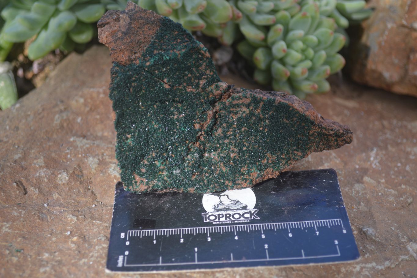 Natural Crystalline Micro Botryoidal Malachite Specimens  x 3 From Congo - Toprock Gemstones and Minerals 