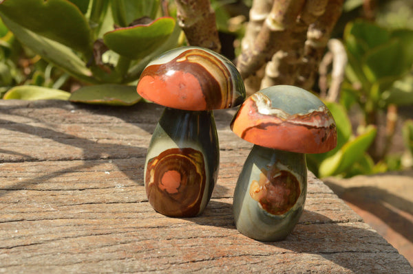 Polished Selected Polychrome / Picasso Jasper Mushrooms  x 6 From Madagascar - TopRock