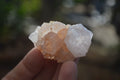 Natural White Spirit Quartz Crystals x 24 From Boekenhouthoek, South Africa - Toprock Gemstones and Minerals 