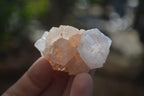 Natural White Spirit Quartz Crystals x 24 From Boekenhouthoek, South Africa - Toprock Gemstones and Minerals 