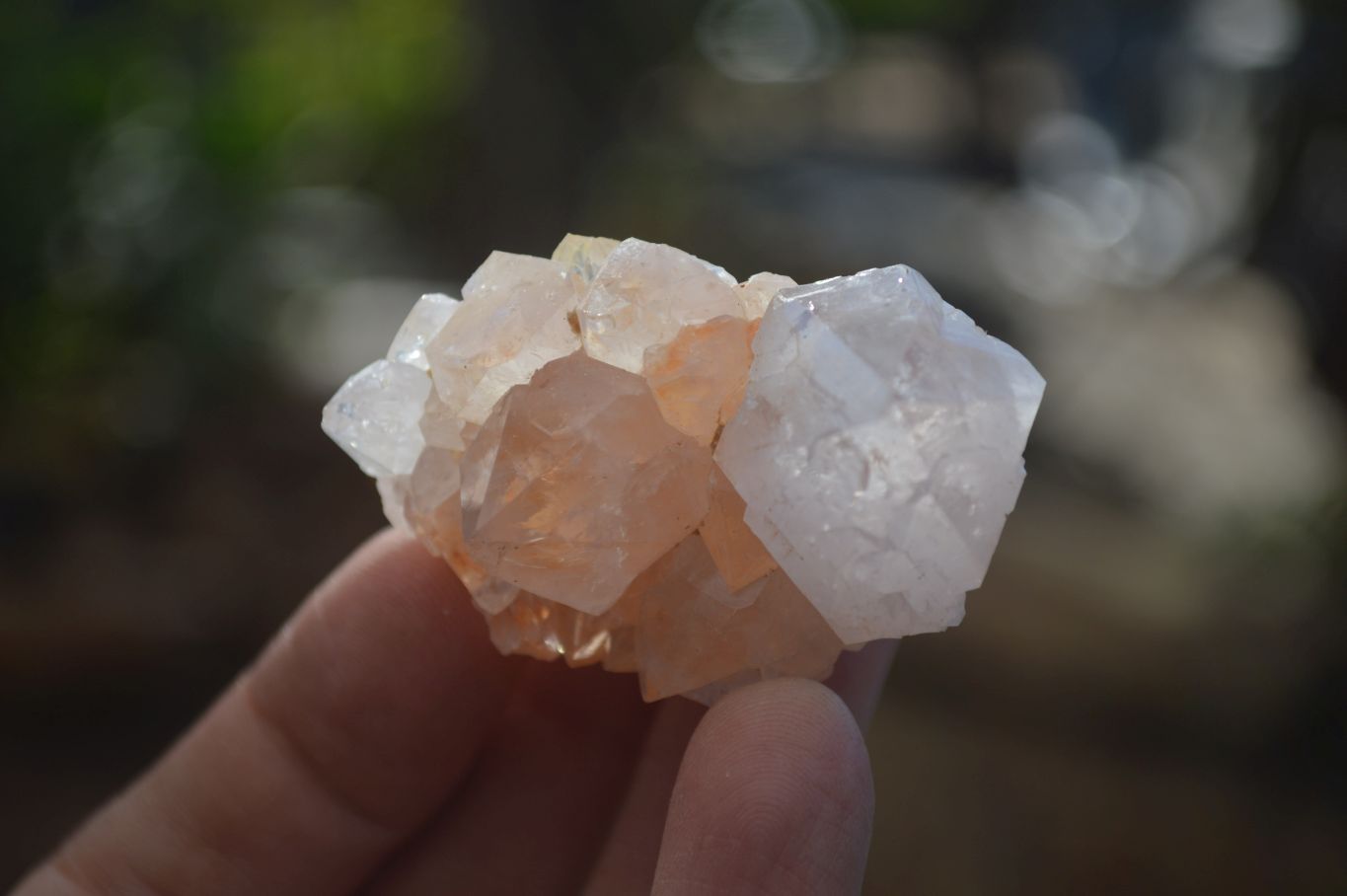 Natural White Spirit Quartz Crystals x 24 From Boekenhouthoek, South Africa - Toprock Gemstones and Minerals 