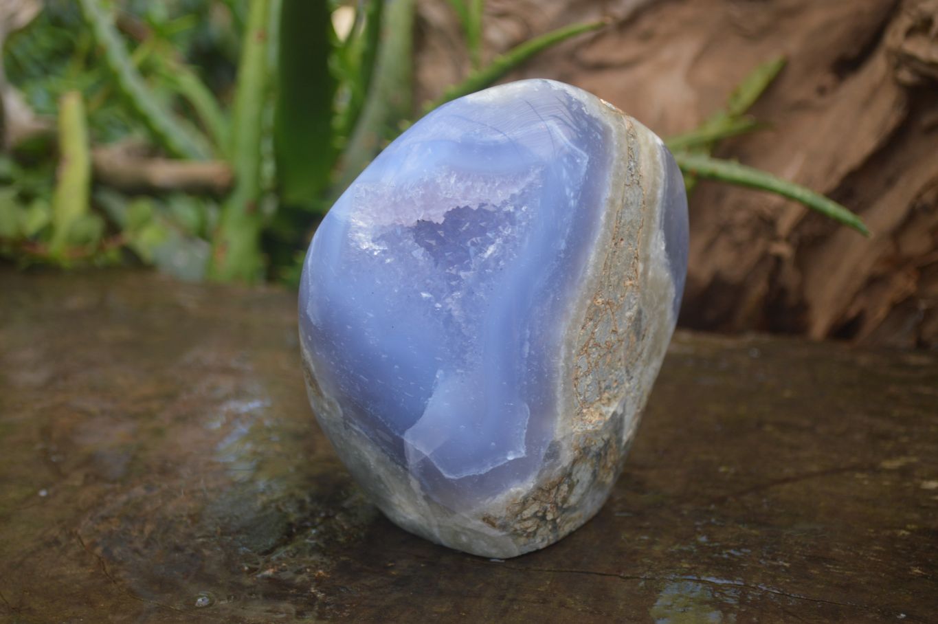 Polished Blue Lace Agate Standing Free Forms  x 2 From Nsanje, Malawi - Toprock Gemstones and Minerals 