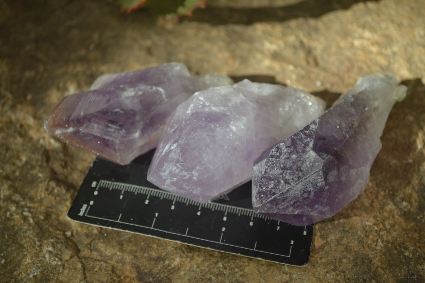 Natural Single Jacaranda Amethyst Crystals x 12 From Mumbwe, Zambia - Toprock Gemstones and Minerals 