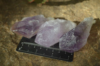 Natural Single Jacaranda Amethyst Crystals x 12 From Mumbwe, Zambia - Toprock Gemstones and Minerals 