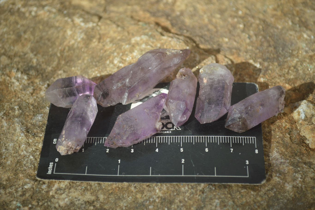Natural Small Amethyst Crystals  x 70 From Chiredzi, Zimbabwe - Toprock Gemstones and Minerals 