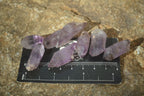 Natural Small Amethyst Crystals  x 70 From Chiredzi, Zimbabwe - Toprock Gemstones and Minerals 