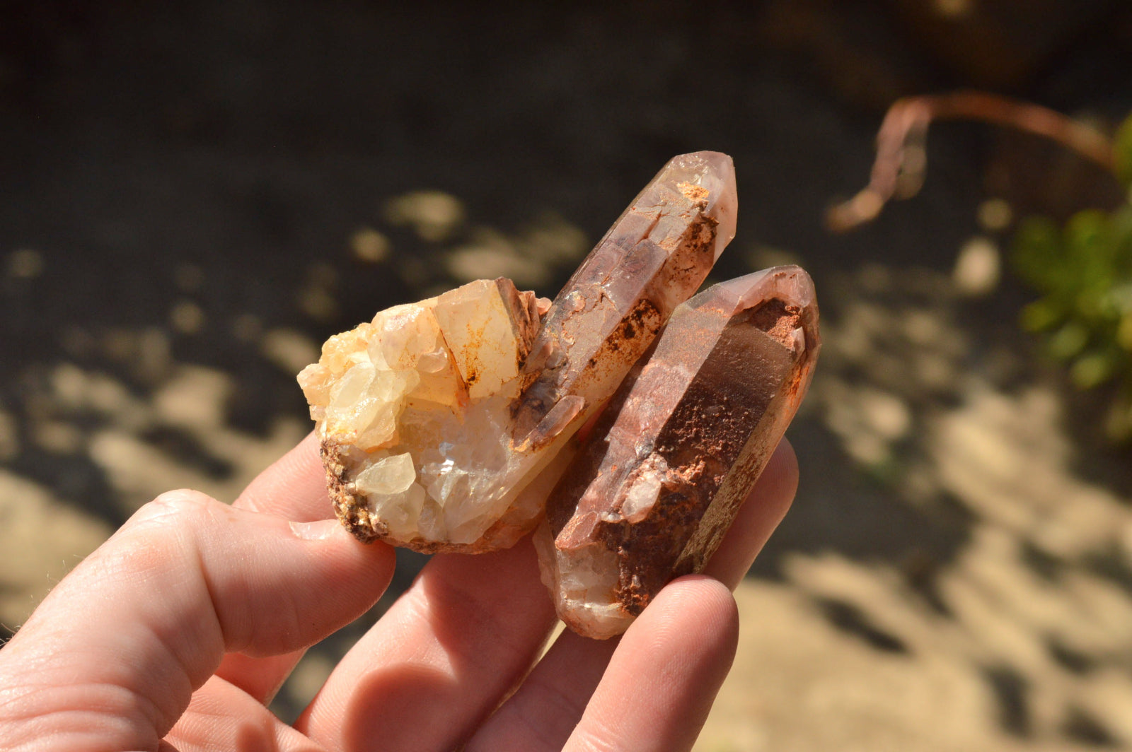 Natural Single Red Hematoid Phantom Quartz Crystals  x 35 From Karoi, Zimbabwe - TopRock