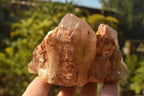 Natural Dusky Red Hematoid Quartz Clusters  x 4 From Karoi, Zimbabwe - TopRock